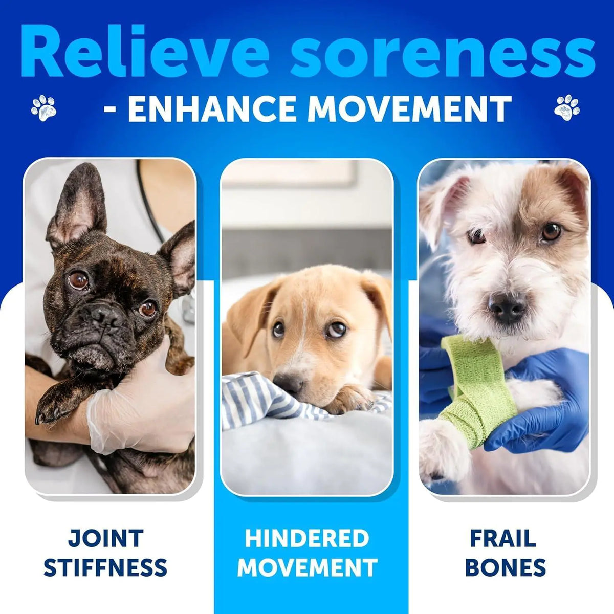 Glucosamine for Dogs   Hip and Joint Supplement for Dogs with Arthritis   Chews