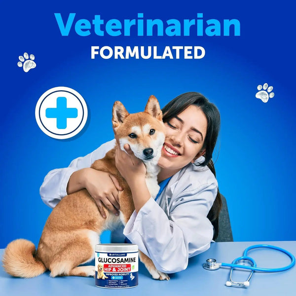 Glucosamine for Dogs   Hip and Joint Supplement for Dogs with Arthritis   Chews