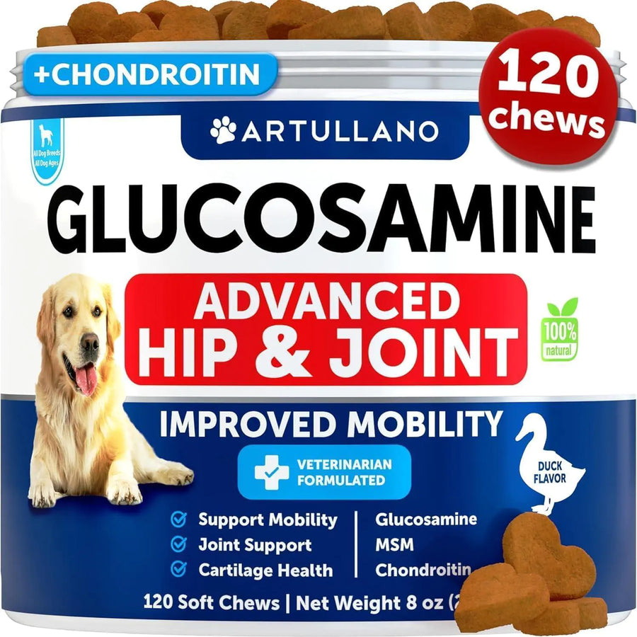 Glucosamine for Dogs   Hip and Joint Supplement for Dogs with Arthritis   Chews